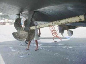 Marine Surveys by Kelly Marine Surveyors, Inc. - Capt. B. James Kelly, Jr. SAMS� AMS� - Fort Lauderdale, Florida